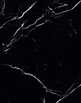 Black Marquina (GN-08)