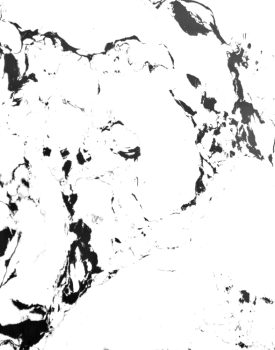 Panda White (GA-05)